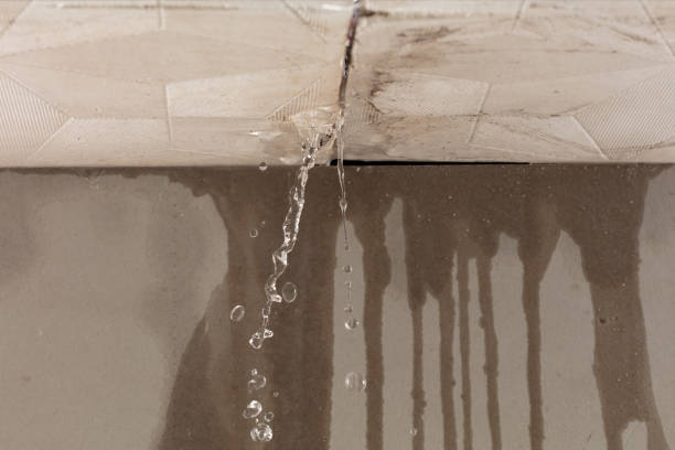 Professional Sewage Cleanup technician working in Laceys Spring, AL